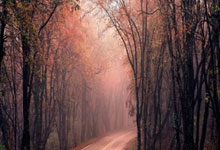 英超：切尔西主场强势，热刺能否顶住压力？切尔西VS热刺.