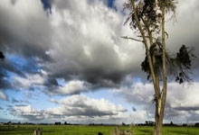 澳门六合彩：《楼长来了》蛇年春节番外-.