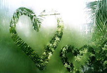 澳门六合彩：第一遍都没听出来高诗岩说的是谁.