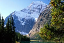 澳门六合彩：英超：曼彻斯特联队0比2 败给纽卡斯尔.