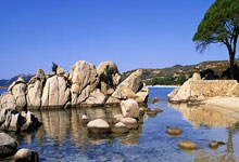 澳门六合彩：山东小将张子宇亮相WCBA全明星周末.